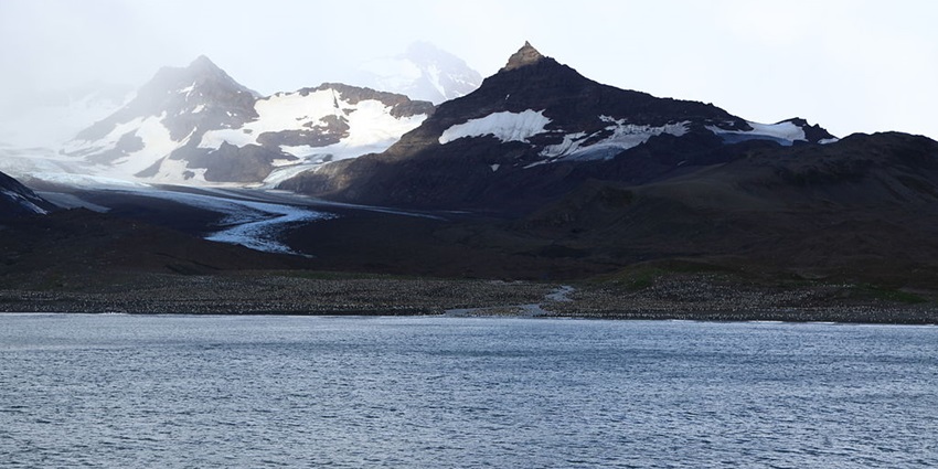 An image featuring St Andrews Bay near South Georgia Island with a snowy mountain backdrop