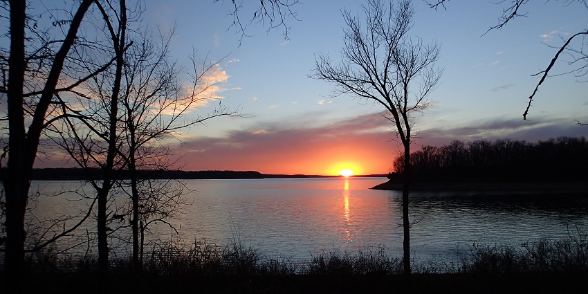Stockton Lake in the evening during the sunset by the lake and a tree with no leaves