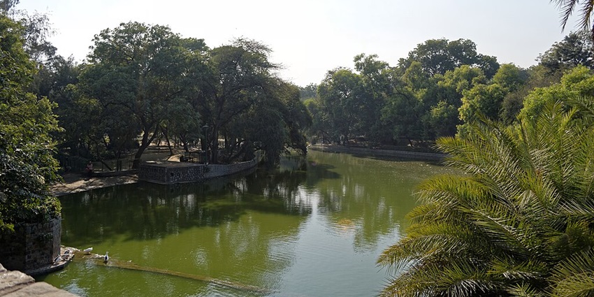 A breathtaking view of Sultanpur Lake, a paradise for birdwatchers with various migratory birds.