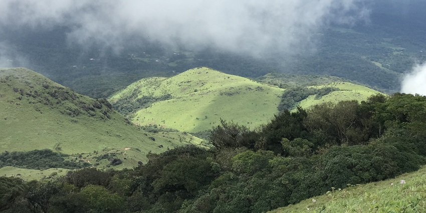 An image of Tadiandamol Trek in Karnataka with misty adventure in the Western Ghats
