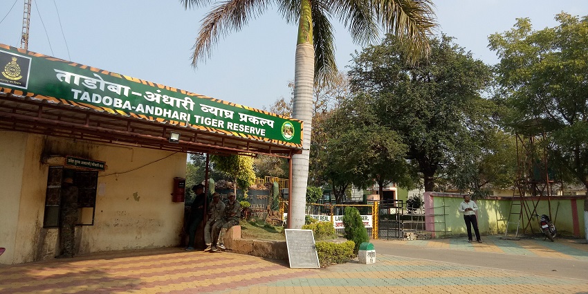 Tadoba Reserve, one of the famous national parks in India