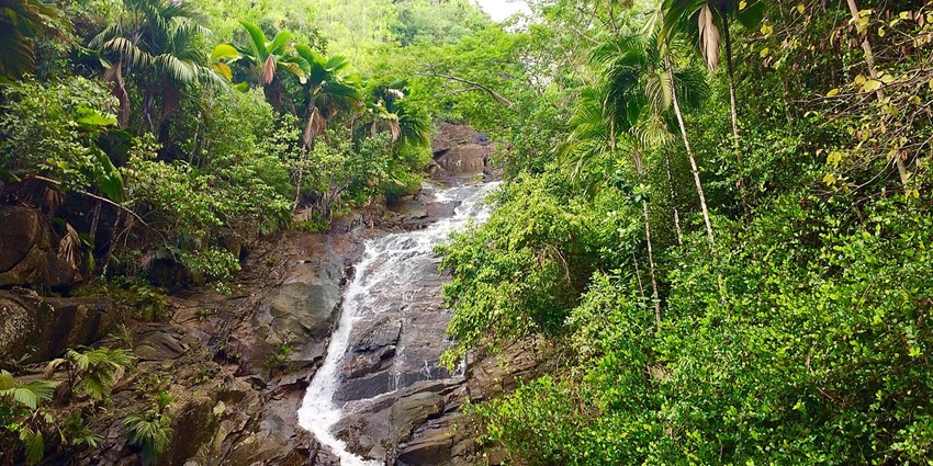 A view of the refreshing pool at Sauzier Waterfall is one of the top things to explore.