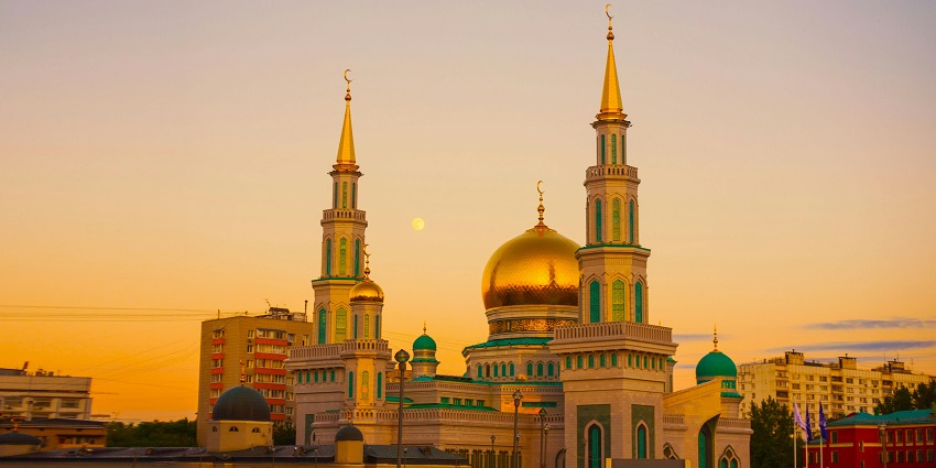 Explore destinations with expert guidance, discovering history and culture.