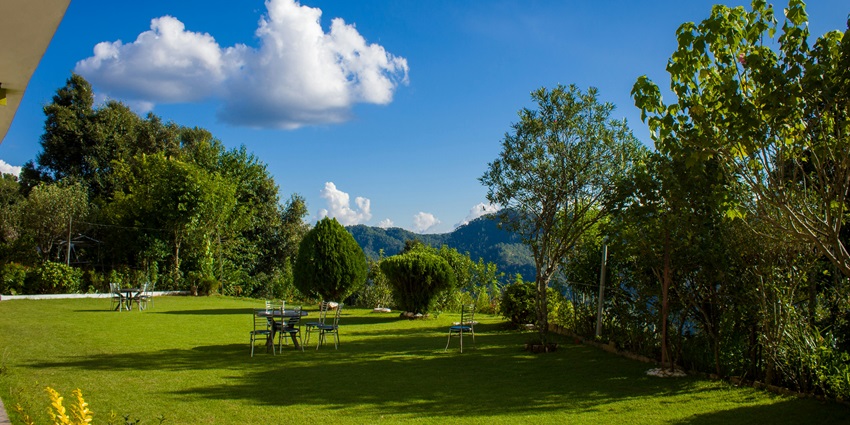 Embark on a breathtaking journey to binsar's himalayan heights in Uttarakhand.