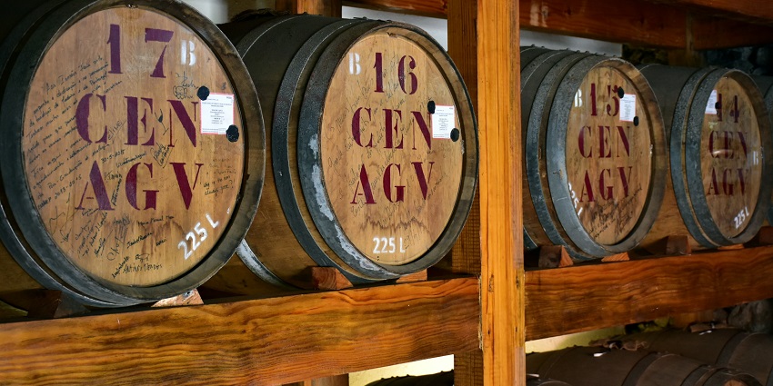 Wine-tasting experience is one of the Top 10 things to do on Valentine’s Day in Portugal