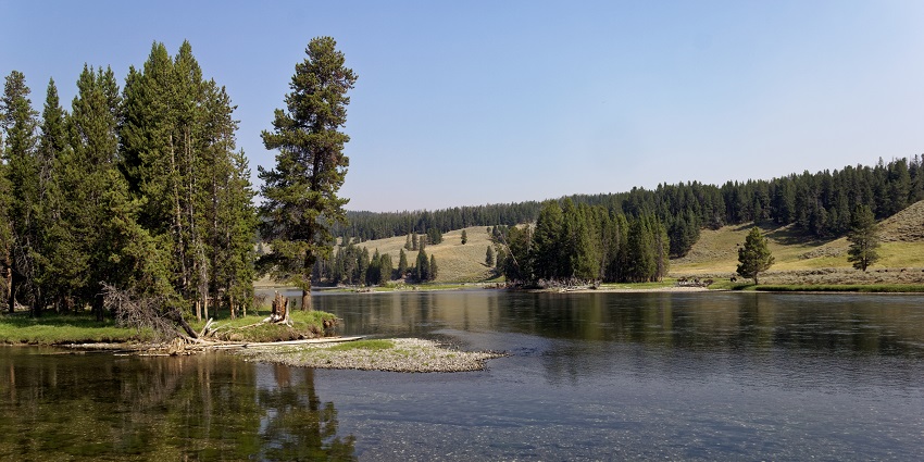 An image of a river valley around beautiful lush green trees under clear blue sky