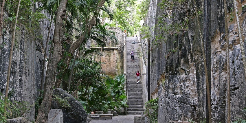 Step back in time with a historic climb up Nassau’s iconic, hand-carved limestone staircase.