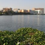 A view of high-rise buildings in Kolkata’s Salt Lake, as seen from a nearby pond