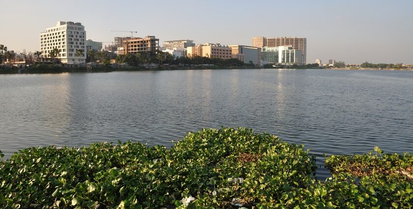 A view of high-rise buildings in Kolkata’s Salt Lake, as seen from a nearby pond