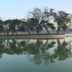 A view of a small island of trees in the middle of Ulsoor Lake in Bangalore, Karnataka.