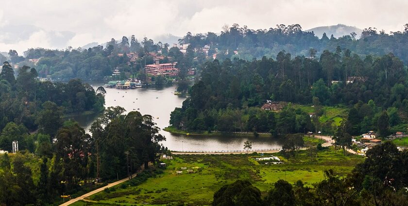 A picture of a beautiful destination Kodaikanal, also known as the princess of hill stations.