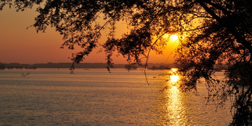 A glimpse of Thol Lake, a scenic walking trails around lakes in Ahmedabad.