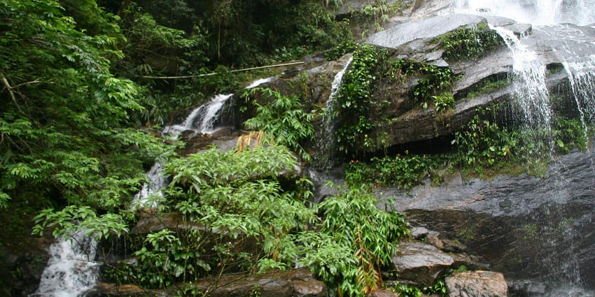Urban rainforest with hiking trails, waterfalls, and diverse wildlife.