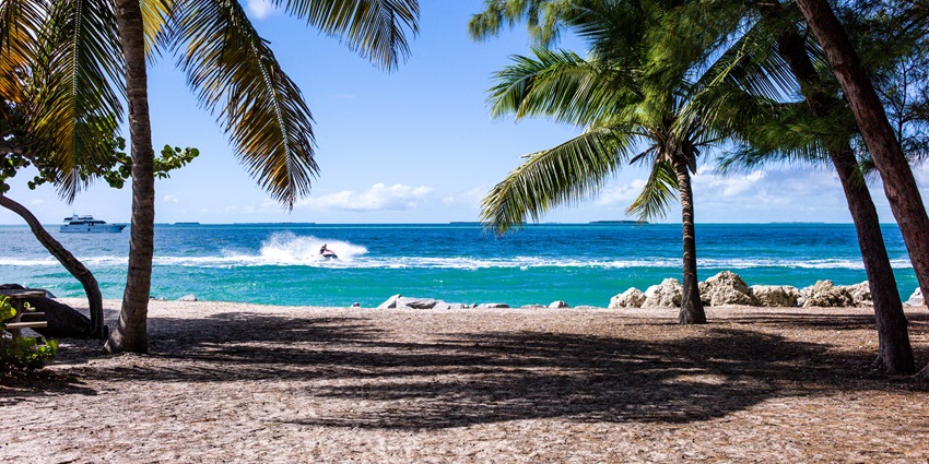 The Tingko beach is among the aesthetic Cebu beaches with clean sands, coconut trees, and beautiful surroundings.