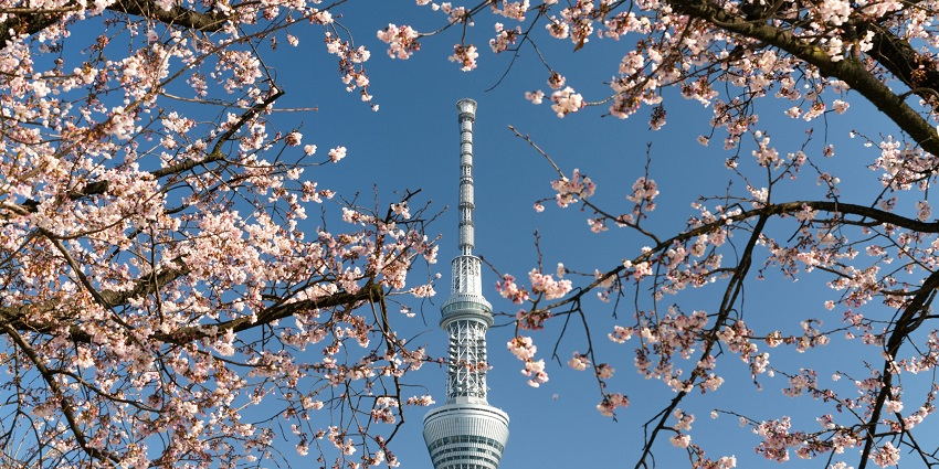 Tokyo Skytree offers city views, the best place for celebrating Valentine's Day in Japan.
