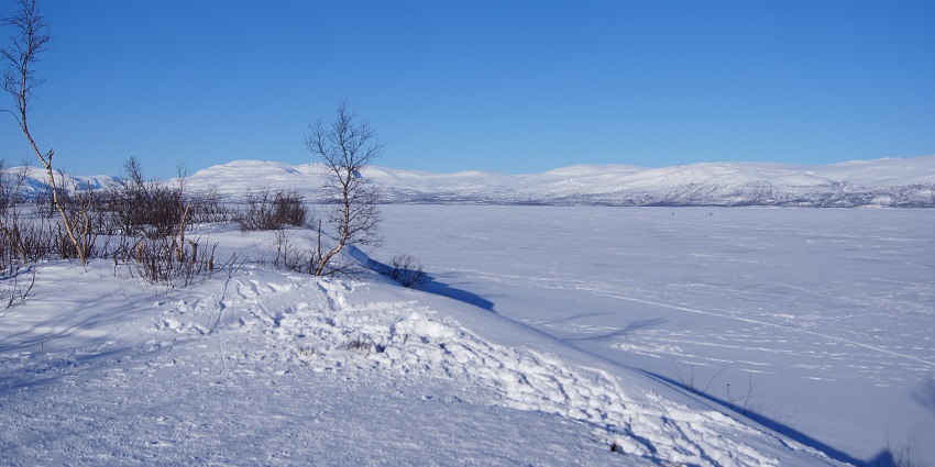 An image of the serene view of Torneträsk Lake in winter, the best place near Abisko National Park