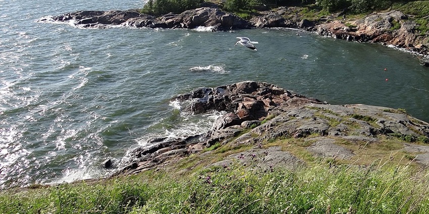 An image of the scenery of the Suomenlinna Sea Fortress, a famous place to visit in Helsinki