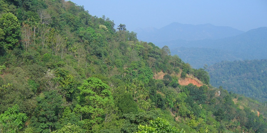Hike scenic trails through lush landscapes and breathtaking views in the Western Ghats.