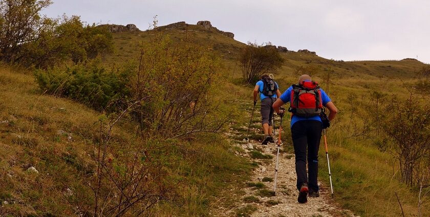 An image from the Sandakphu Trek, it is one of the best trekking places in India