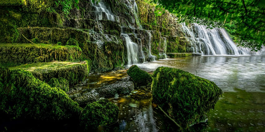 Scenic image of a waterfall, and the lush greenery scenery around the water fall