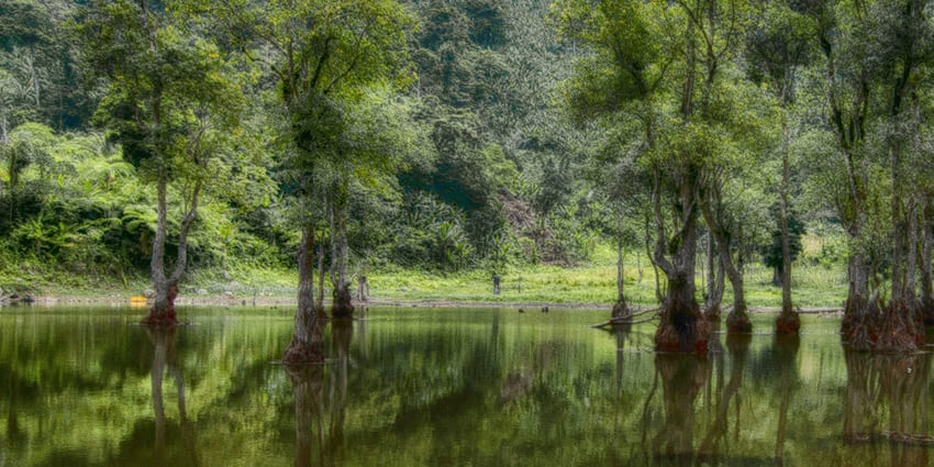 Serene twin lakes nestled amidst dense forest landscapes.