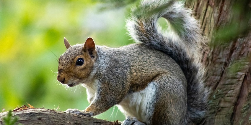 Witness migratory birds, serene lakes, and rich wildlife diversity.