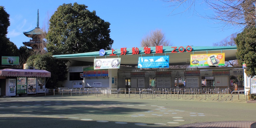Japan’s oldest zoo featuring pandas, exotic animals, and gardens.