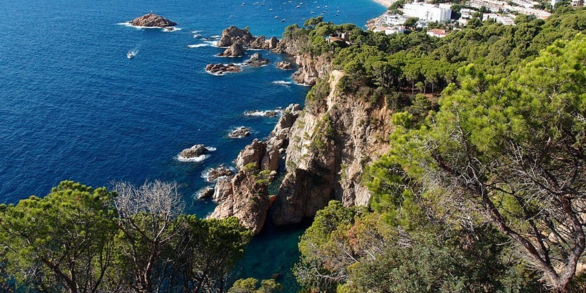 Ullastres pinnacles offer stunning Costa Brava scuba diving experiences