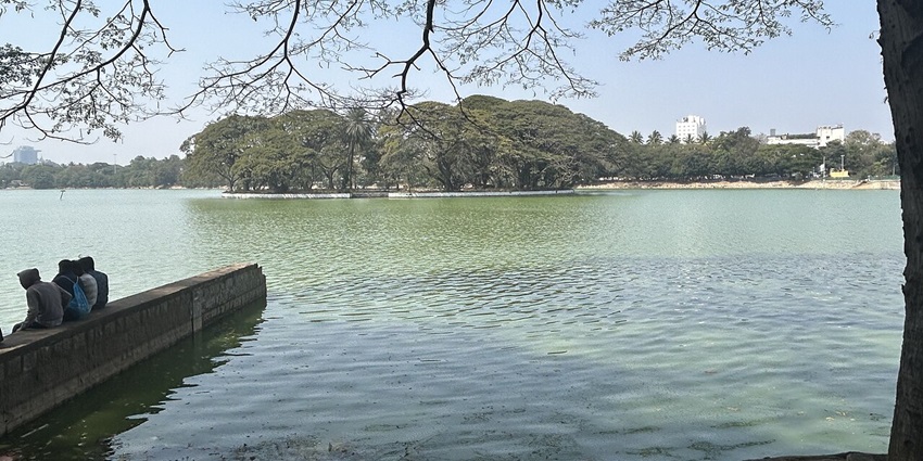 Ulsoor Lake, one of the famous lakes in Bangalore, has multiple people sitting on a structure and greenery.