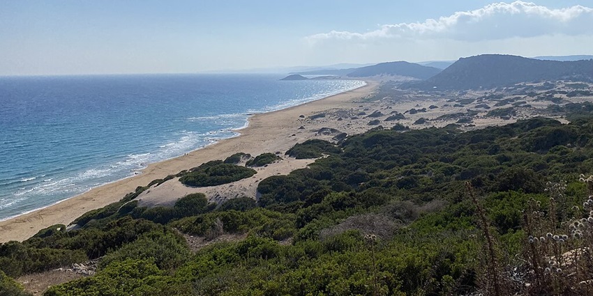 Family-friendly beach with amusement park and scenic ocean views.