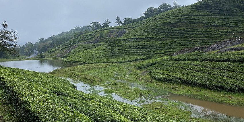An image of winding road through hills, representing Vagamon via Pullikkanam Elappara Road