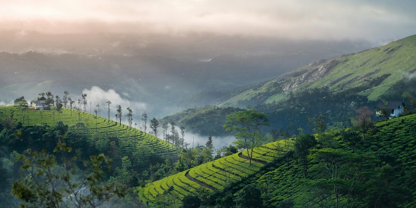 An image showing Ananthagiri Hills, among the best places to visit in South India in March.