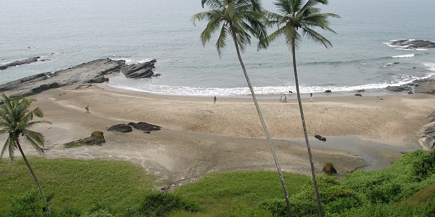 Palm trees atop rocky cliff overlooking Vagator Beach with ocean in the background