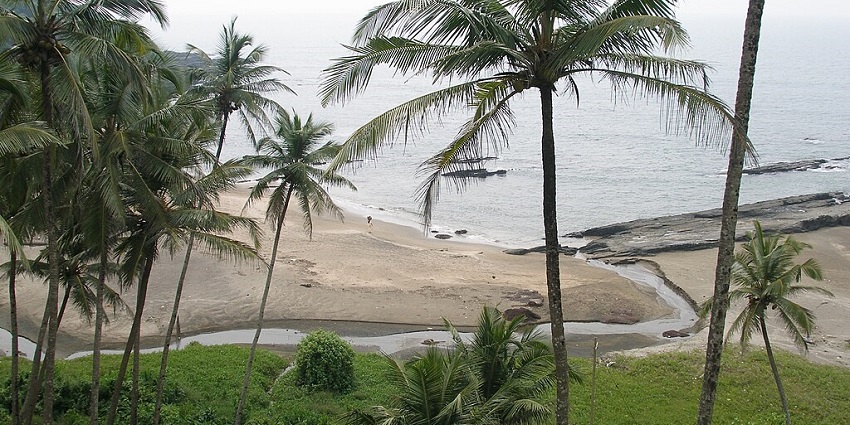 Serenity at Vagator Beach, with views of the coastal area and palm trees.