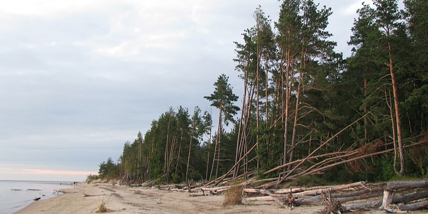 Vakarbuļļi is among the best beaches in Latvia, perfect for sunbathing, swimming, and beach picnics.