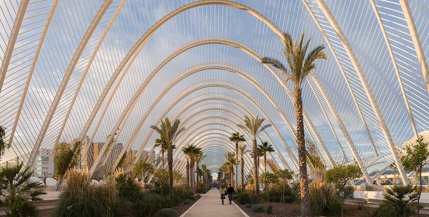 An ultrawide angle panoramic view along the inside of L'Umbracle–Valentine’s day in Spain