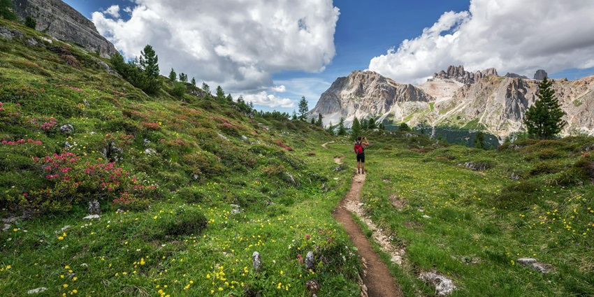 An image of the Valley of Flowers in Uttarakhand, one of the best places to go in July in North India.