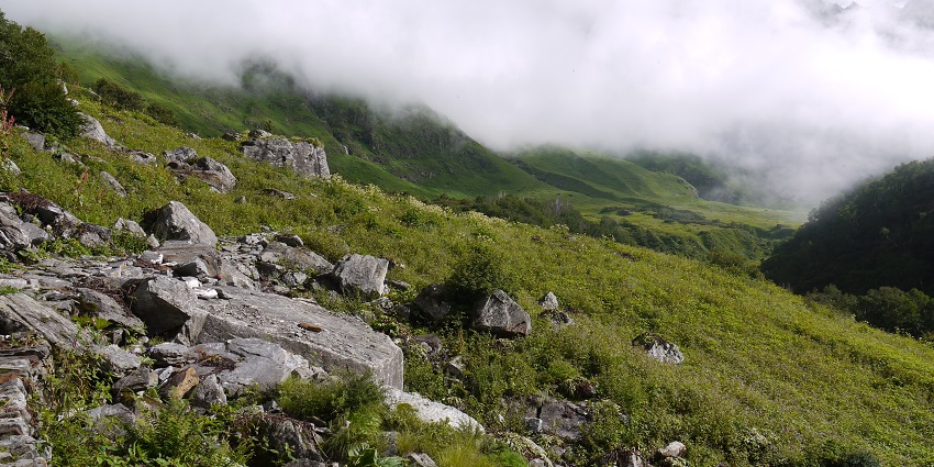 An image of cloudy Valley of Flowers Trek, a paradise among trekking places in India
