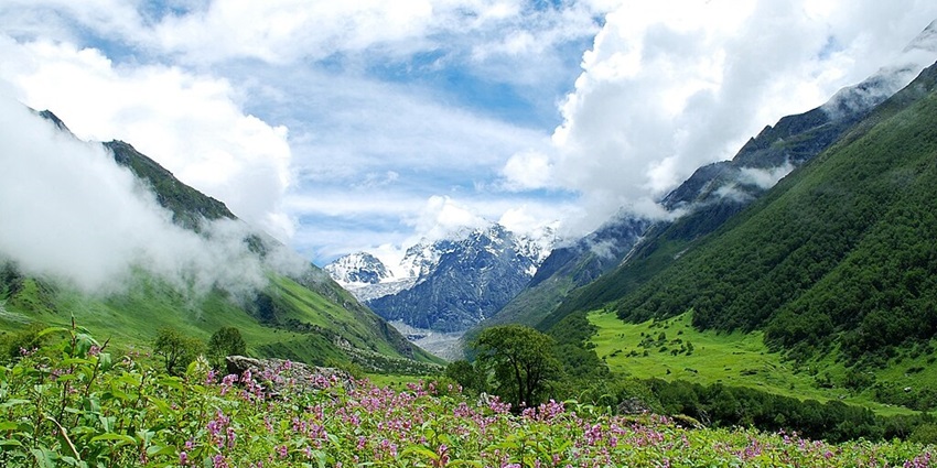 An image showing Valley of Flowers, a popular destination for trekking in North India.