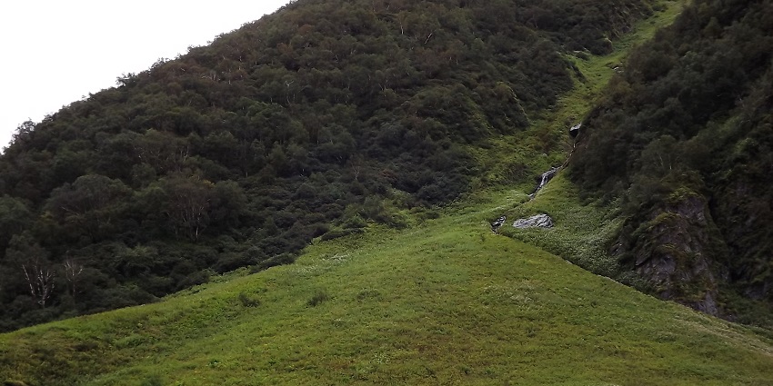 An image of a view of the valley of flowers after 2 - 3 kms of initial trek from Ghangaria
