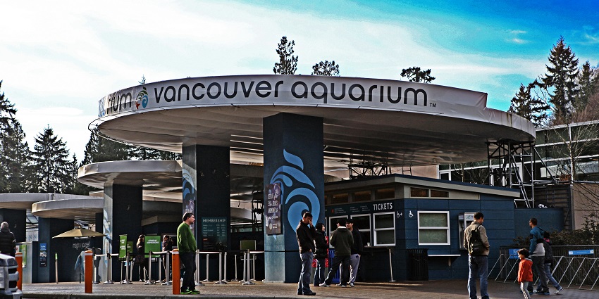 Entrance of the fascinating marine life exhibits featuring diverse underwater species, showcased in Vancouver travel guide.