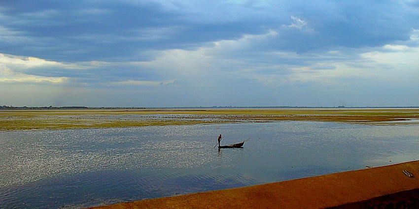 An image of Veeranam Lake which is one of the prominent lakes in Tamil Nadu.