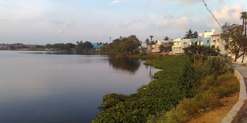 Lakes in Chennai under the sun setting and its common magical evening scene, where the sun turns the lakes into golden light