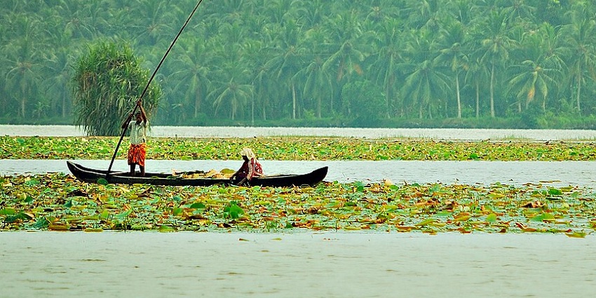 A boat in the Vellayani Lake, one of the lakes in Kerala, creating a breathtaking view.