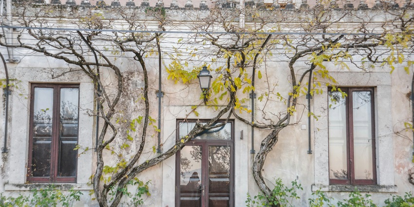 Villa d’Este is a perfect place to celebrate Valentine’s Day in Rome.
