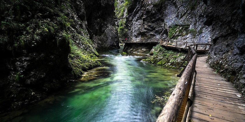 Vintgar Gorge walkway for tourists to marvel at the rock formations with a narrow stream