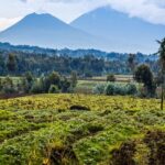 The towering Mount Mikeno in Virunga National Park, surrounded by mist and dense jungle.