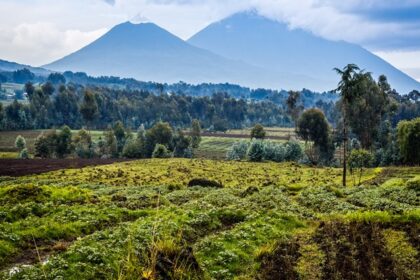 The towering Mount Mikeno in Virunga National Park, surrounded by mist and dense jungle.