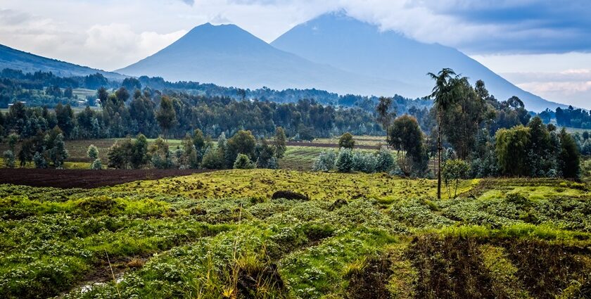 The towering Mount Mikeno in Virunga National Park, surrounded by mist and dense jungle.