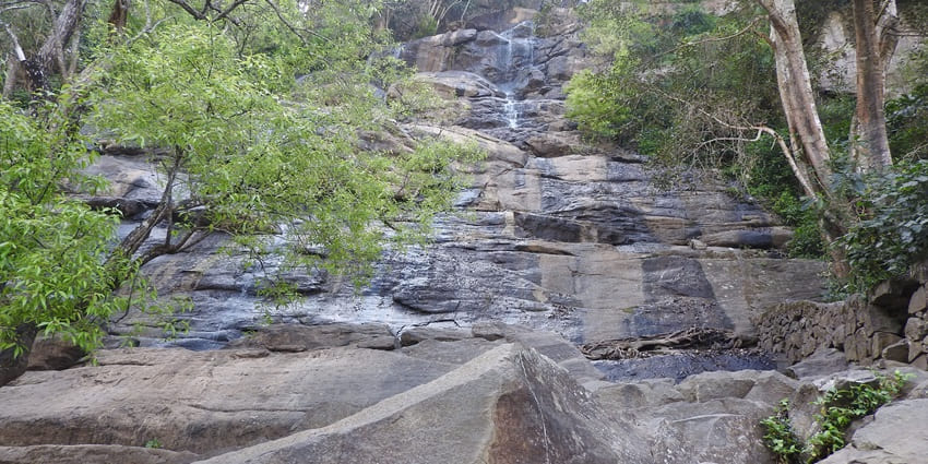 A picture of the prettiest Kiliyur Falls near Salem, cascading amidst lush greenery.